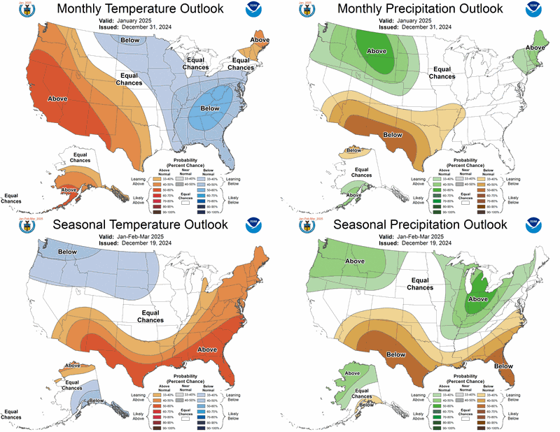 Monthly and 90-Day Forecast for Temperature and Precipitation