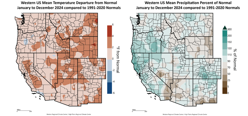 2024 Annual Temperature and Precipitation Departures