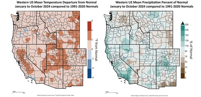 Year-to-Date Temperature and Precipitation Departures